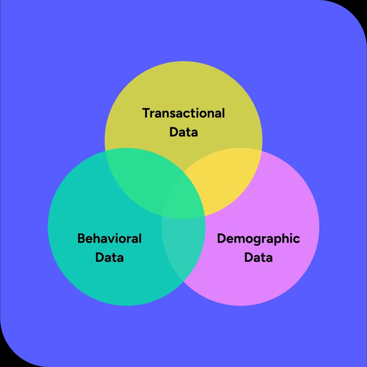 Customer lifetime value software