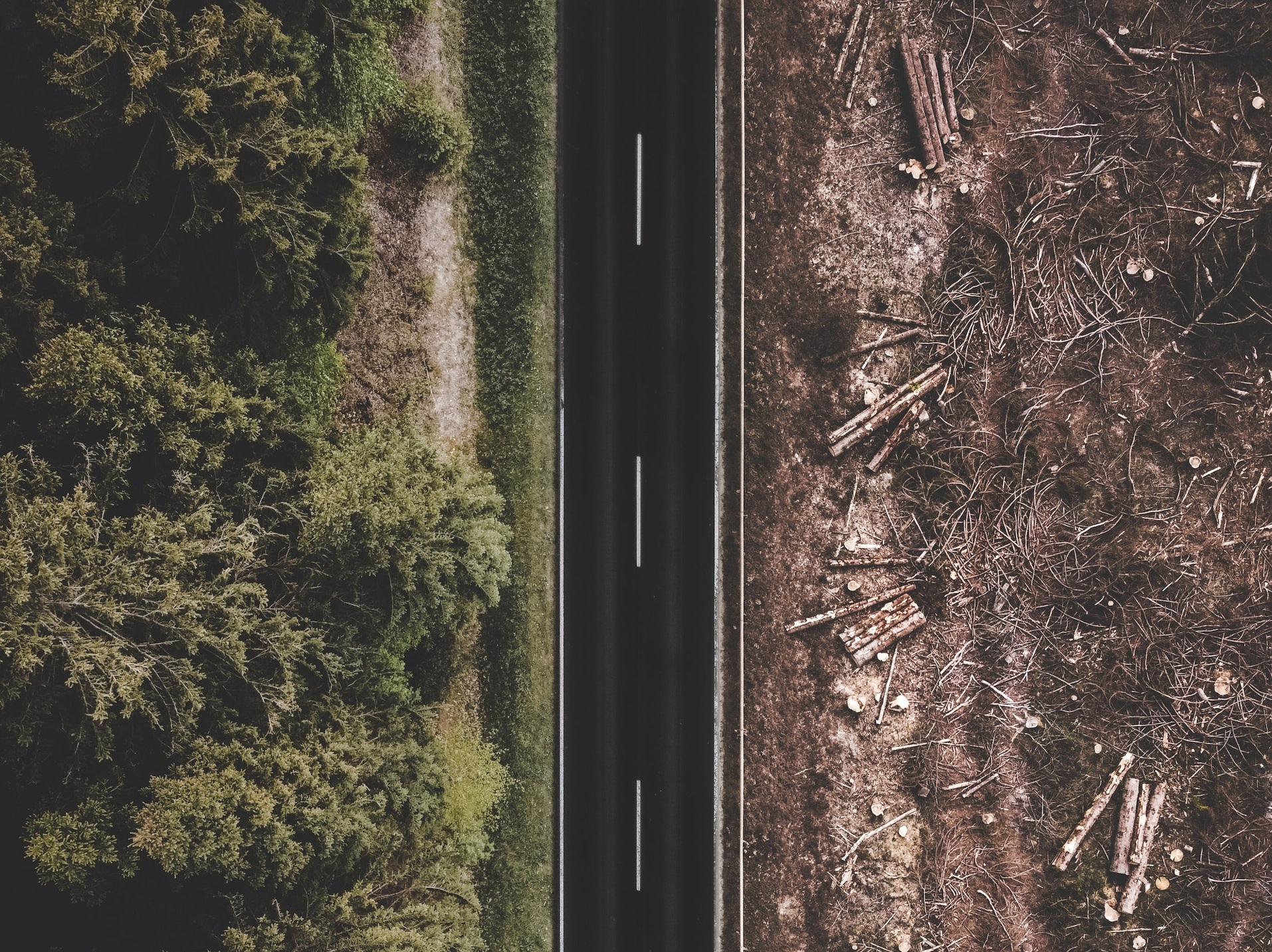  AI systems are able to provide personalised and relevant responses via chat